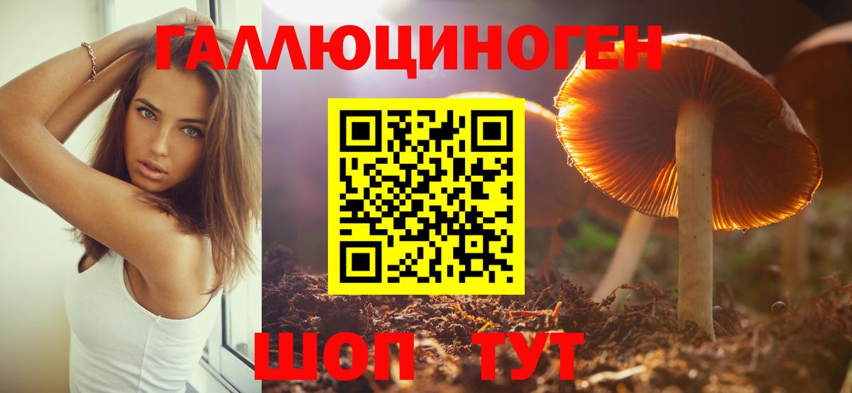 Галлюциногенные грибы Psilocybe  Вход с VPN  Алексеевка 