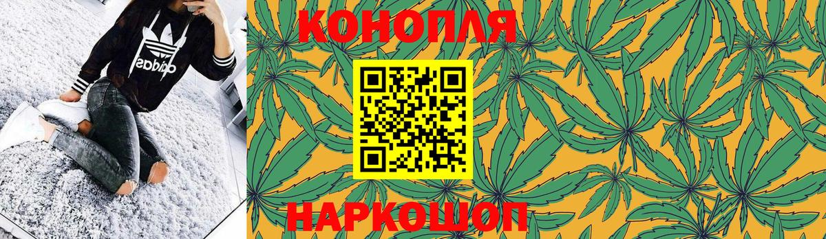 Конопля сатива  Бошки Шишки White Widow  Алексеевка  МАРИХУАНА тримм  Вход с VPN 